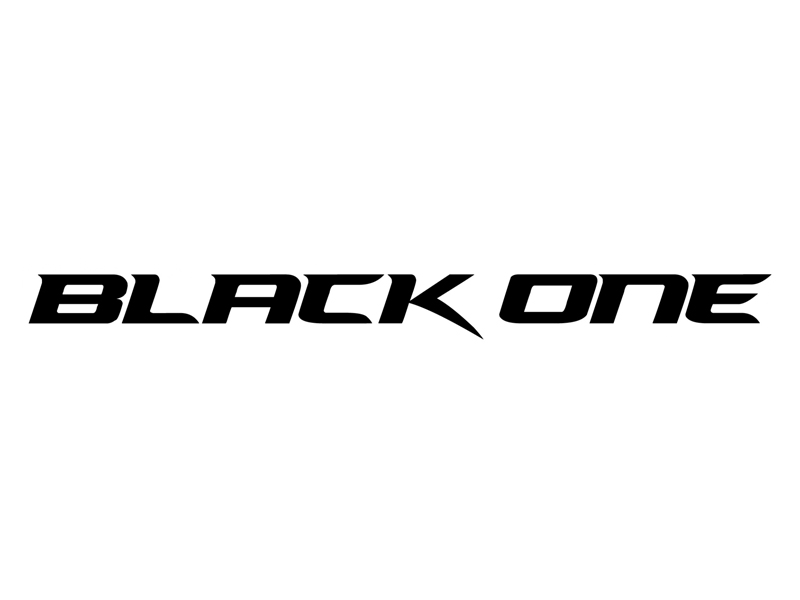 BLACK ONE